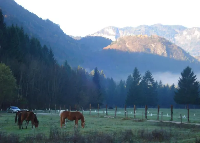 Gæstehus The Millhouse Bled