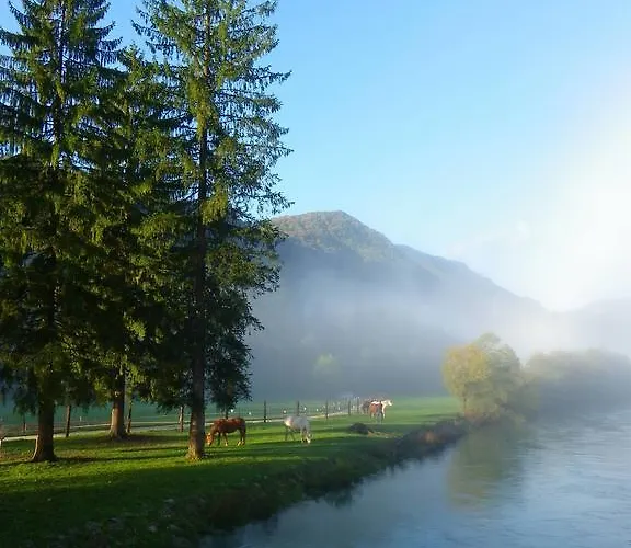 The Millhouse 3* Bled