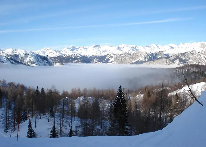 The Millhouse Πανσιόν