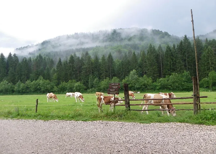 The Millhouse 3* Μπλεντ